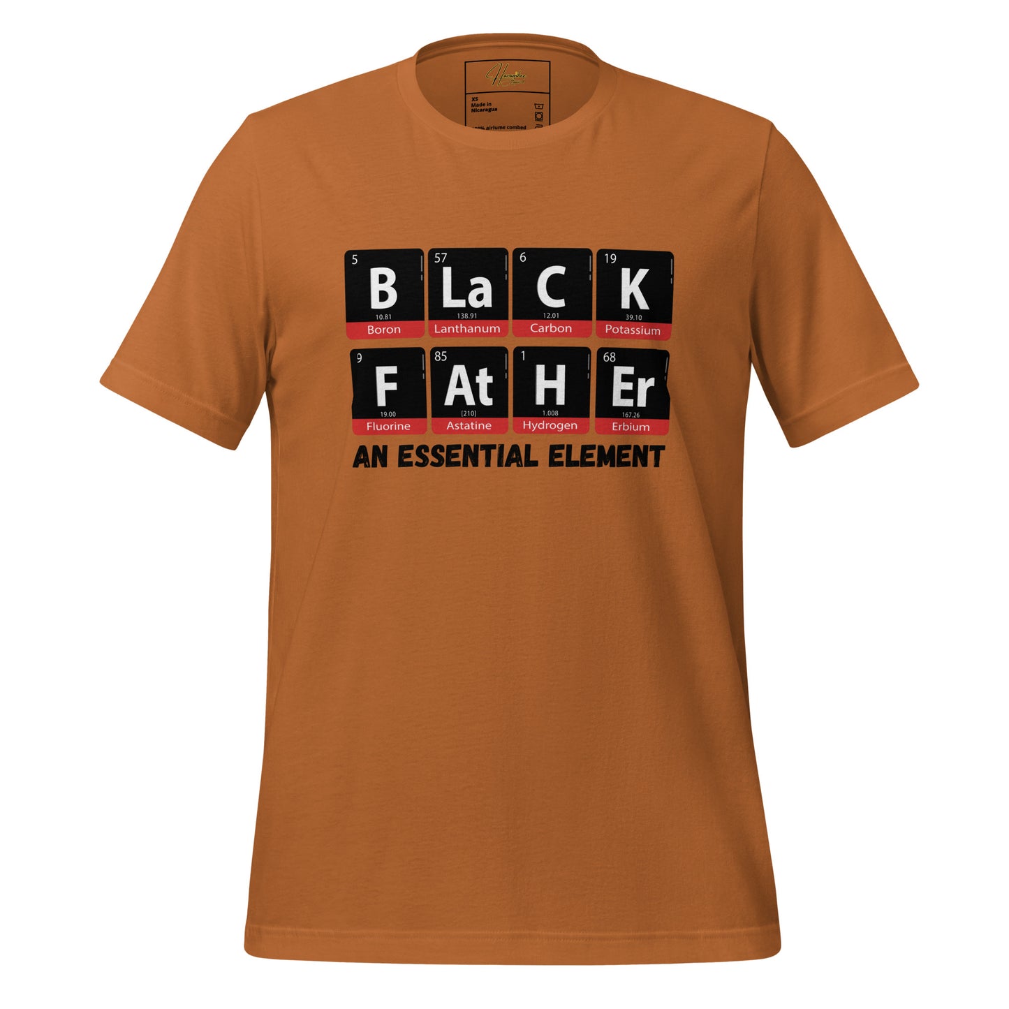 Black Father - An Essential Element