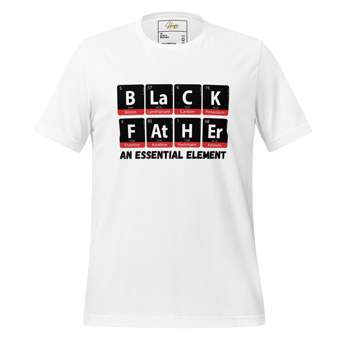 Black Father - An Essential Element